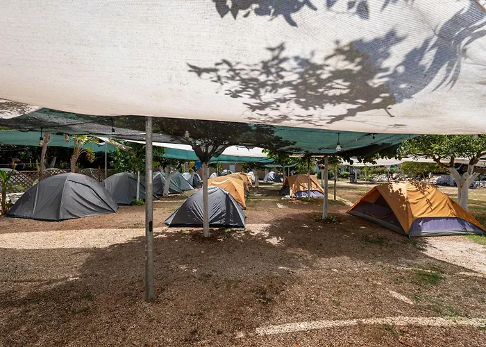Social Camping Jal