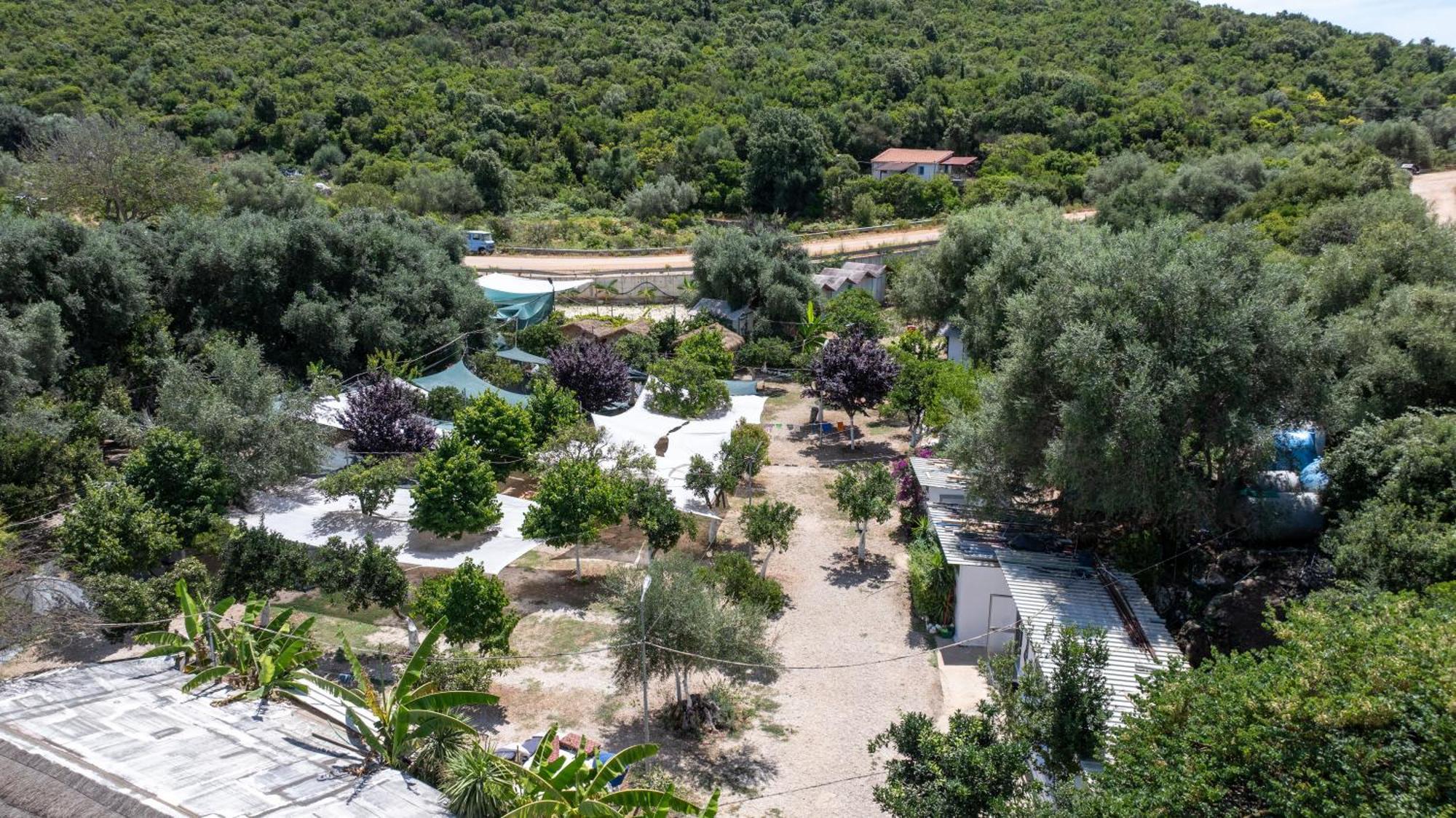Social Campsite Jal